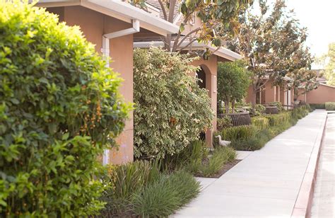 Walnut Village .